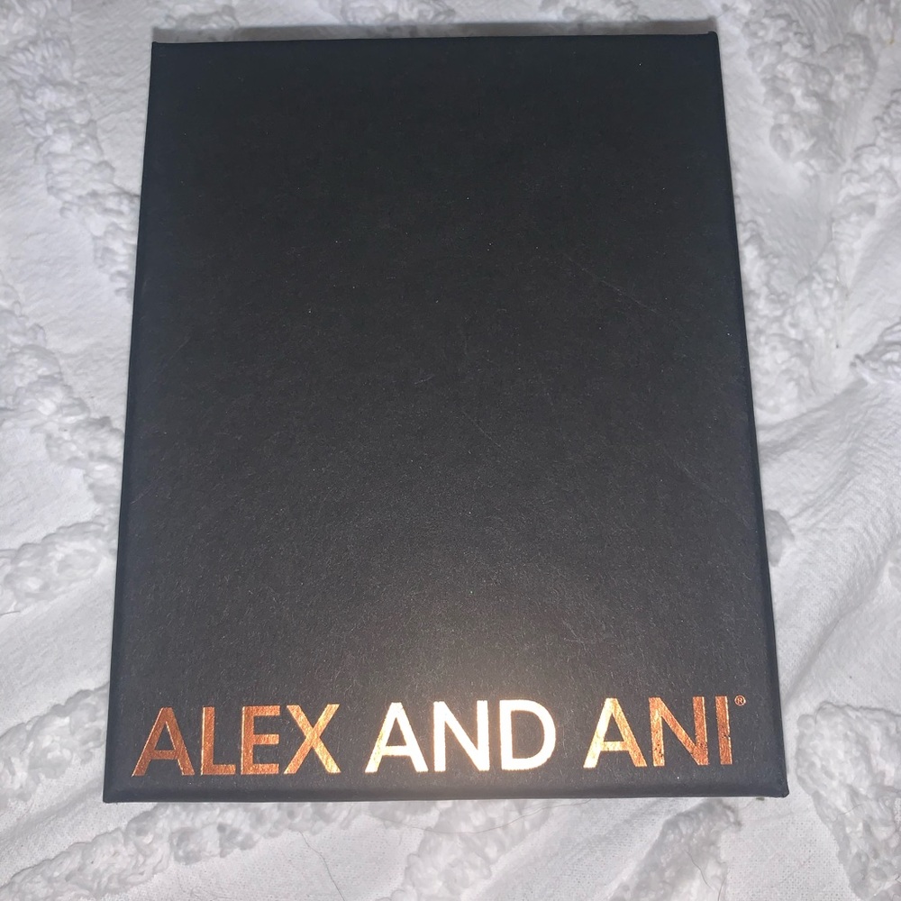 Alex & Ani bracelet